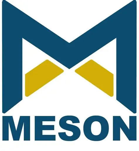 Meson Group